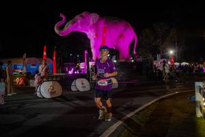 BIB: 
                            <button type="button" onclick="openModal(26552242)" class="btn btn-primary btn-sm float-right btn-popup" data-toggle="modal" data-target=".modal-high-quality">
                        <i class="fas fa-shopping-cart"></i> Add to Cart
                    </button>
                                            <button type="button" onclick="isThisMe(26552242, true)" class="btn btn-success btn-sm float-right btn-popup btn-isme hidden" data-toggle="tooltip" data-placement="bottom" title="นี่คือรูปของคุณใช่ไหม คลิกที่นี่เพื่อเอาเข้าอัลบั้ม">
                        <i class="fas fa-plus"></i> Add to album
                    </button>
                    <button type="button" onclick="isThisMe(26552242, false)" class="btn btn-warning btn-sm float-right btn-popup btn-isnotme hidden">
                        <i class="fas fa-ban"></i> Remove from album
                    </button>